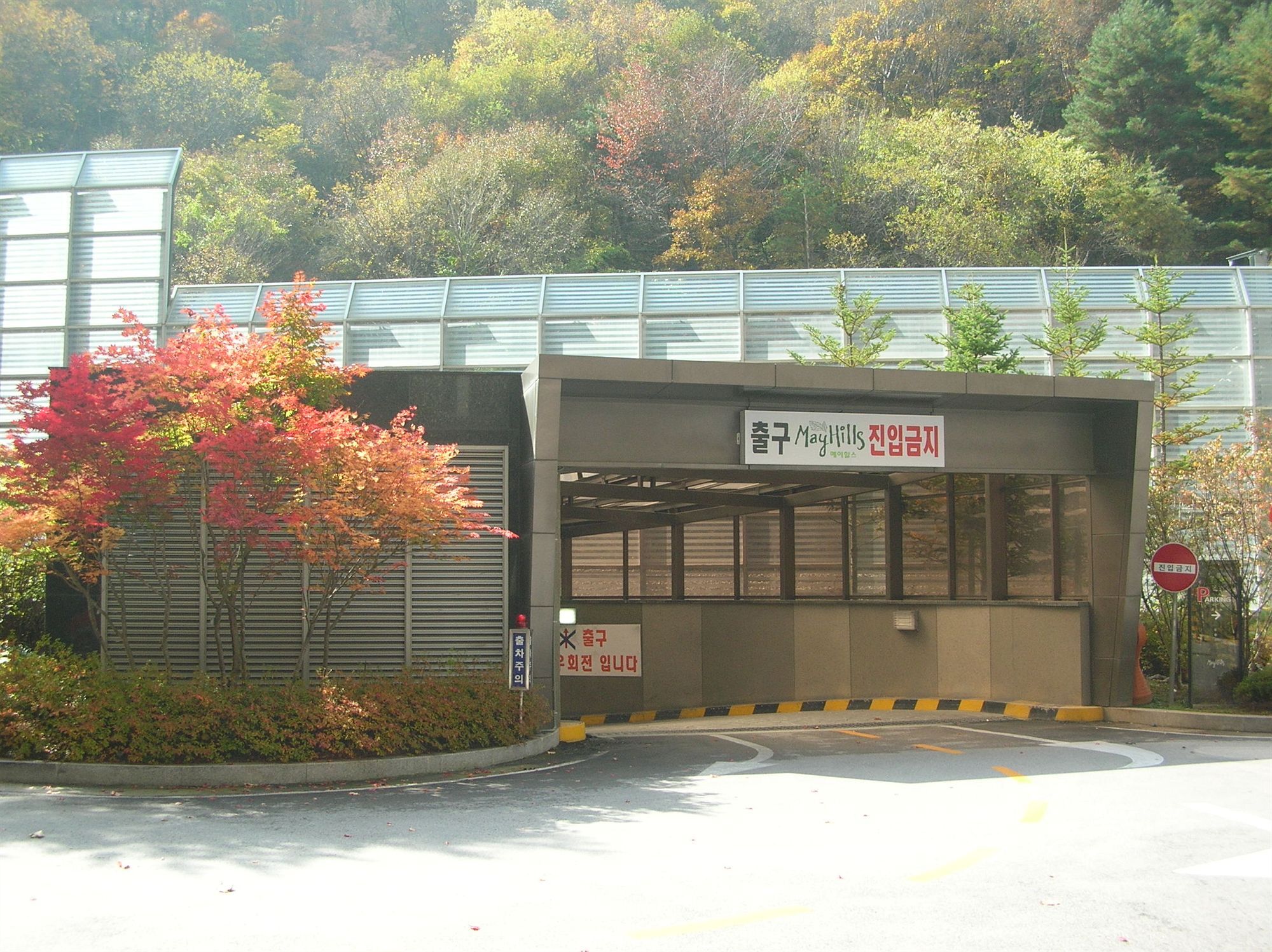 Mayhills Jeongseon